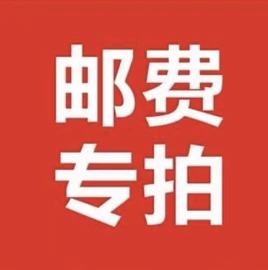 电动摩托车;其他电动车;两轮摩托车