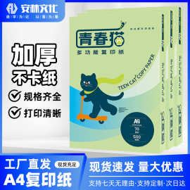 青春猫a4复印纸a4打印纸白纸用纸加厚整箱学生双面草稿纸70办公