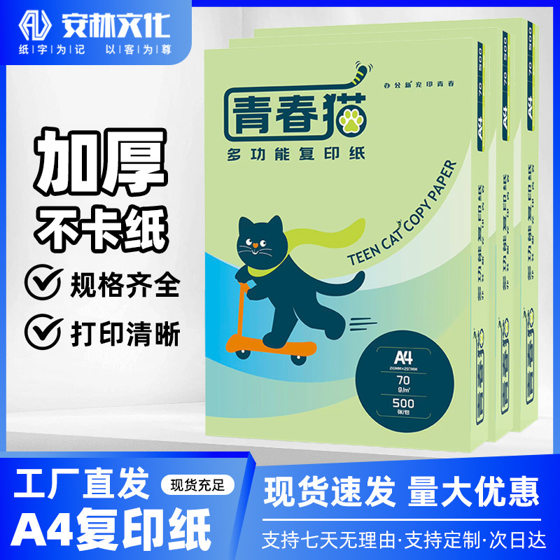 Youth Cat A4 Copy Paper A4 Printing Paper White Paper Thickened Whole Box Student Double-Sided Draft Paper 70g Office Use