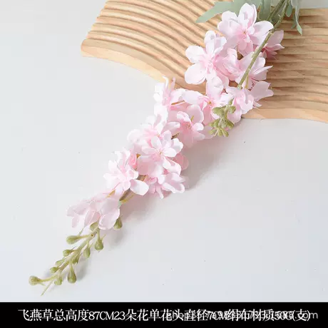 Delphinium pink