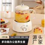 迷你养生壶小型办公室一人多功能家用烧水花茶壶养生杯电炖杯批发