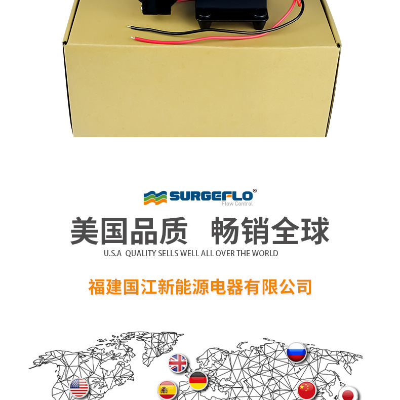 42款12v24v隔膜泵