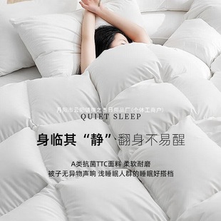 Polish Imported down Quilt High-End Hotel 100 White Goose down Thickeneded Winter Quilt Winter Warm Quilt Double Quilt Core