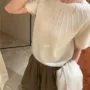肌理女士短袖秋季毛衣