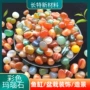 南京盆栽天然多肉鹅卵石