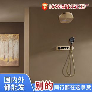 Light Luxury Concealed Shower Mirror Rain Shower Set Bathroom European and American Style Home Hotel Constant Temperature Shower Canopy Cross-Border