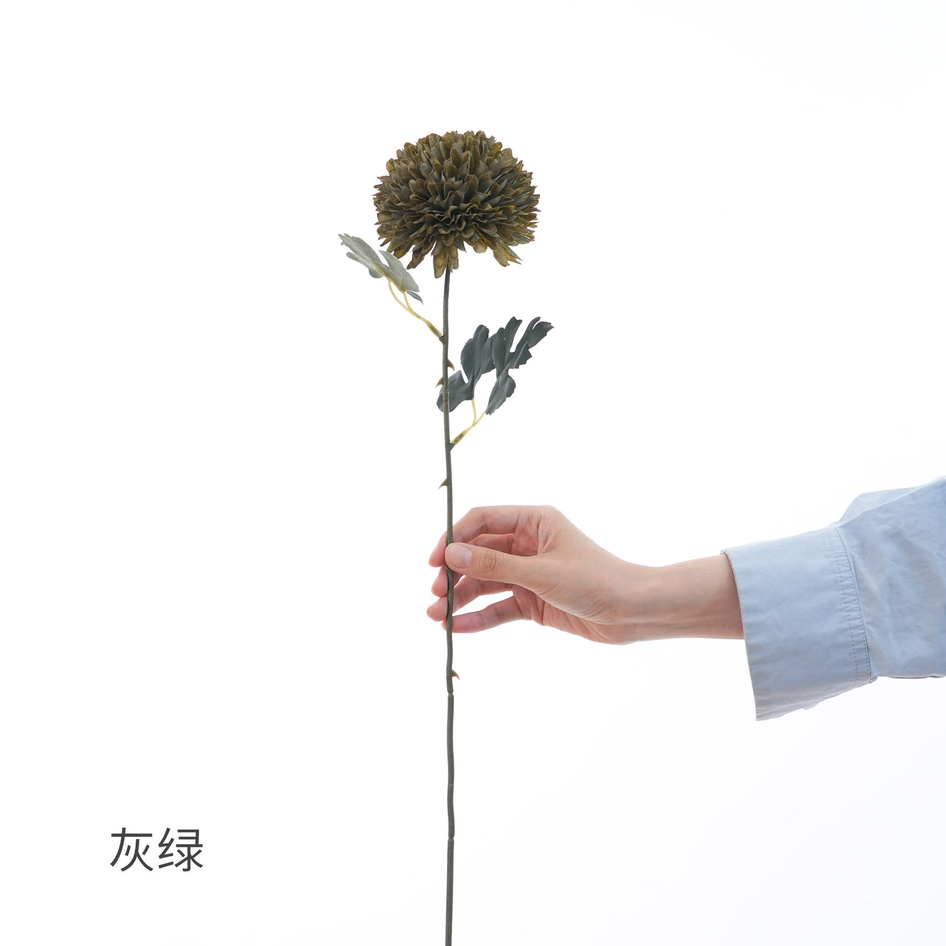 그레이 그린(ZR)