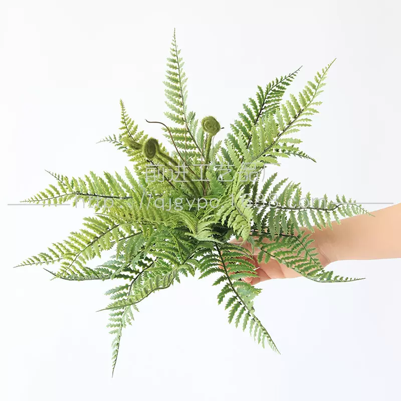 森系装饰毛蕨叶仿真波斯蕨叶人造植物蕨类假叶子绿叶Fern leaf