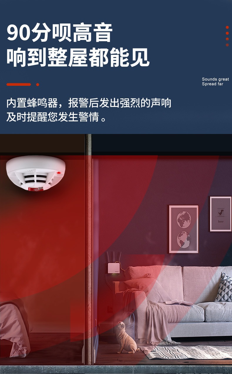详情图片_11.jpg