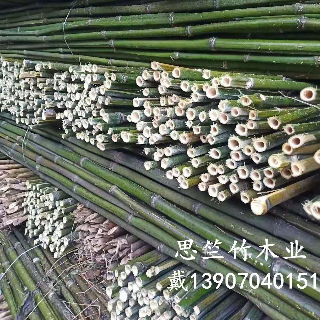 Происхождение поставки бамбукового столба 2,2 метра овощная рамка бамбуковая фасоль огурец зимняя дыня