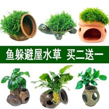 �~���쾰Ī˹ˮ��ˮ���չ�ˮ����ˮ�µ�ˮ���������[���~�r�C