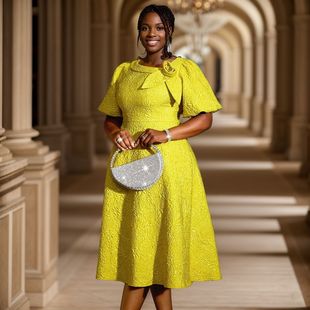 Am040856 European and American New Jacquard Fabric Flower Dress African Large Size Cross-Border A-Line Skirt Dresses