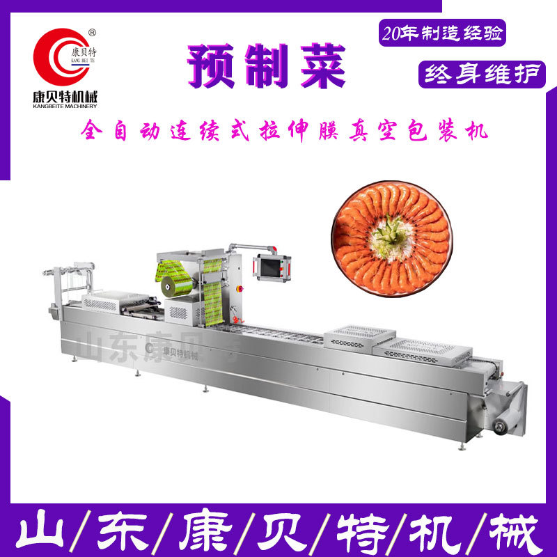 鲜苕皮拉伸膜真空包装机 肉粽全自动真空包装机 果蔬连续式封口机