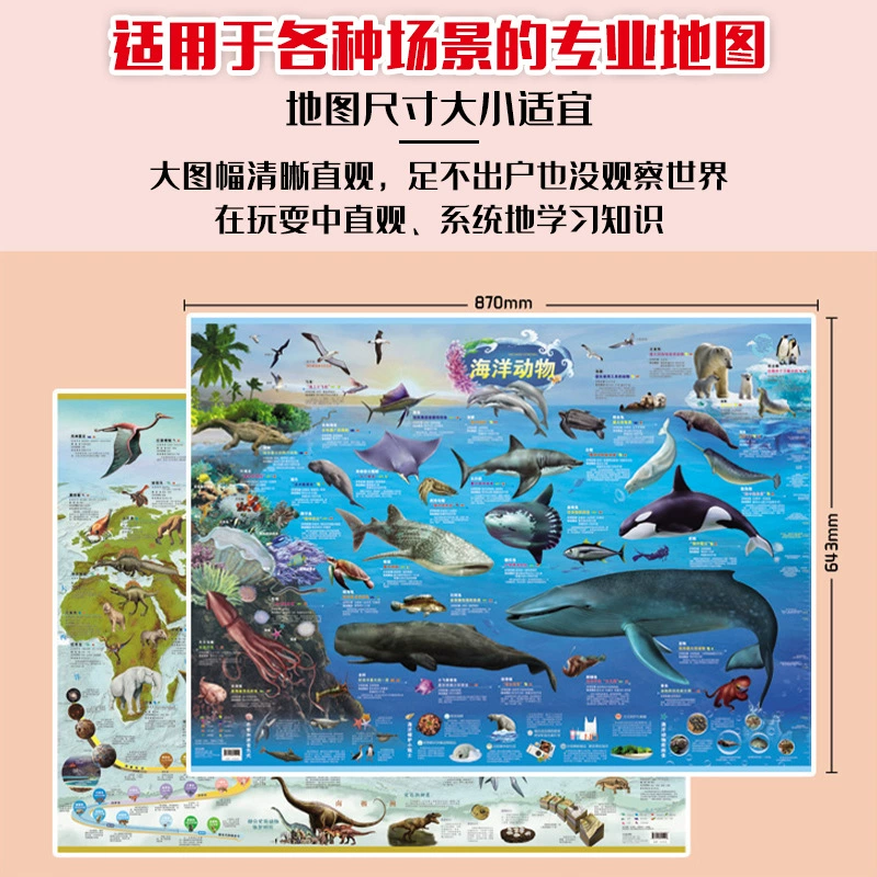 Chinese card, flip chart for kindergarten for elementary school students