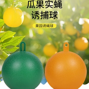 Cross-Border Fly Trap Ball, Citrus Size Fruit Fly Trap Ball, Melon Fruit Tree Sticky Insect Ball, Insect Trap Ball, Fruit Fly Ball