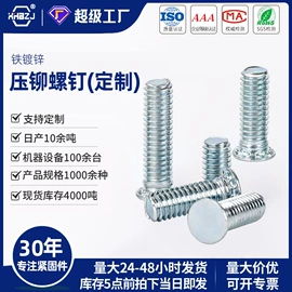 铆钉;螺母;螺钉