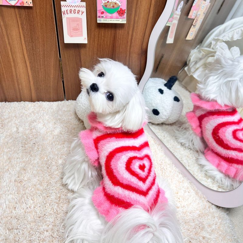 宠物狗狗猫咪衣服2025秋冬新品中小型犬貂绒针织毛衣跨境工厂现货|undefined