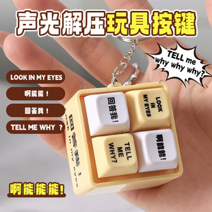 Tell Me Why Answer Me Pronunciation Luminous Keychain Decompression Button Toy Fun Niche Gift for Friends