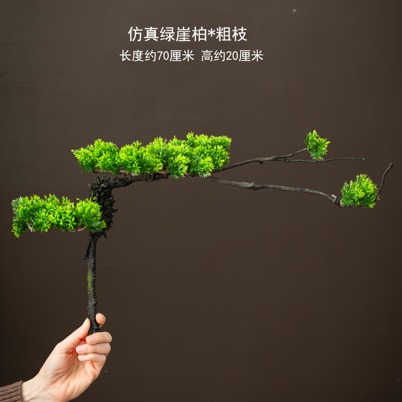 녹색 thuja 소나무 가지
