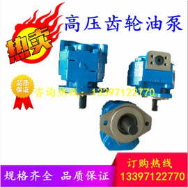 P124-G10液压齿轮油泵P257-G16替代G20天津泊姆克双联三联PERMCO