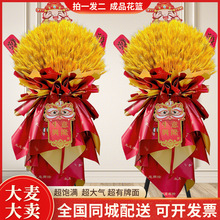 �����_�I���@�_�����w�����r�����fͬ�Ǳ����Ϻ����ݏV������