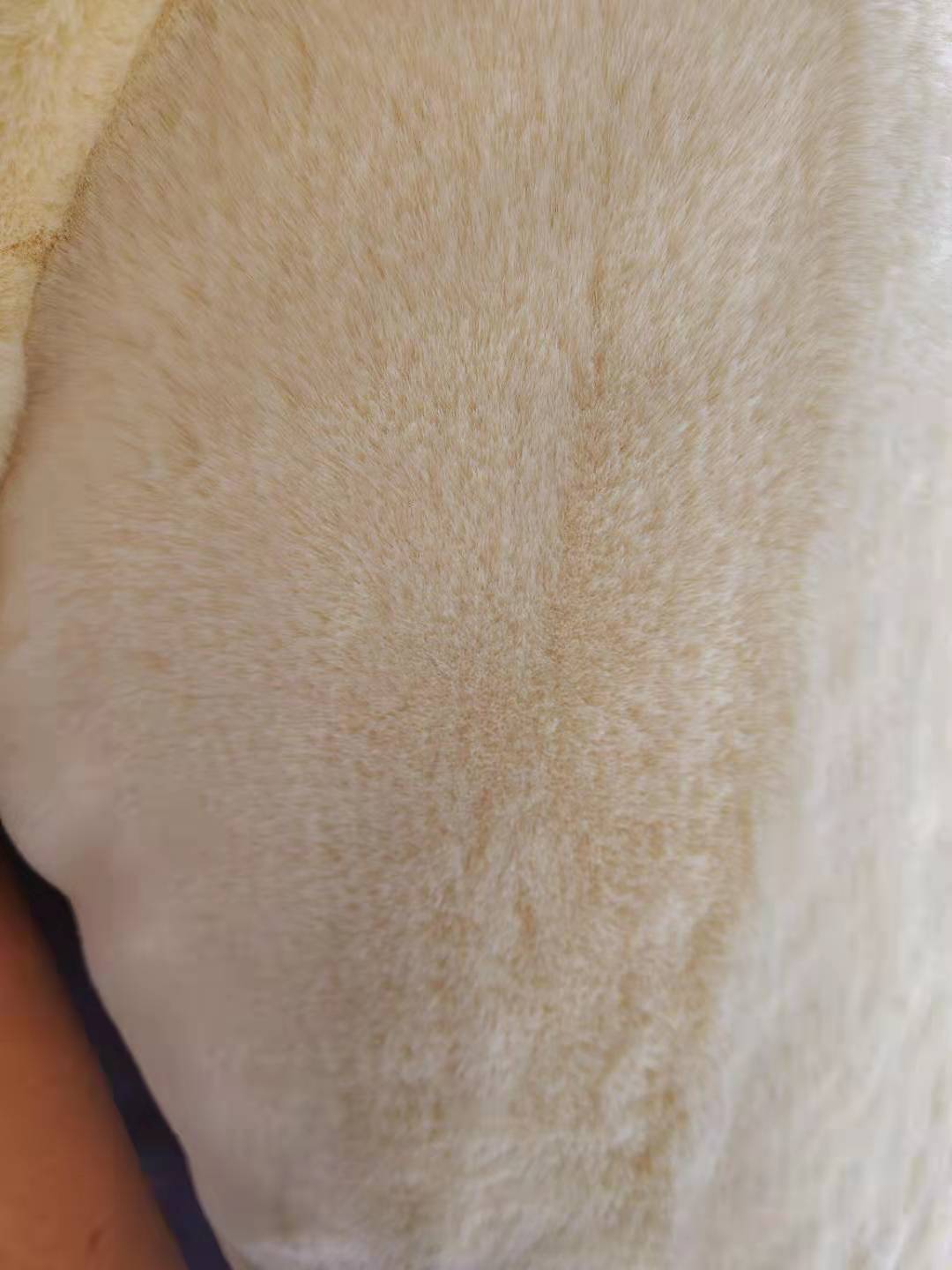 微信图片_20210509215046