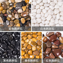 �Z��ʯԭʯ50���·䁵�ͥԺ�@���쾰��С�껨ʯ�Zܛůʯ�羳���