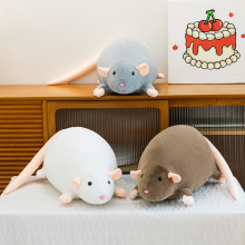 �ɐۻ�֦��ͬ��ë�q�����ż��С�t��ͬ��������б�˯��ż���l