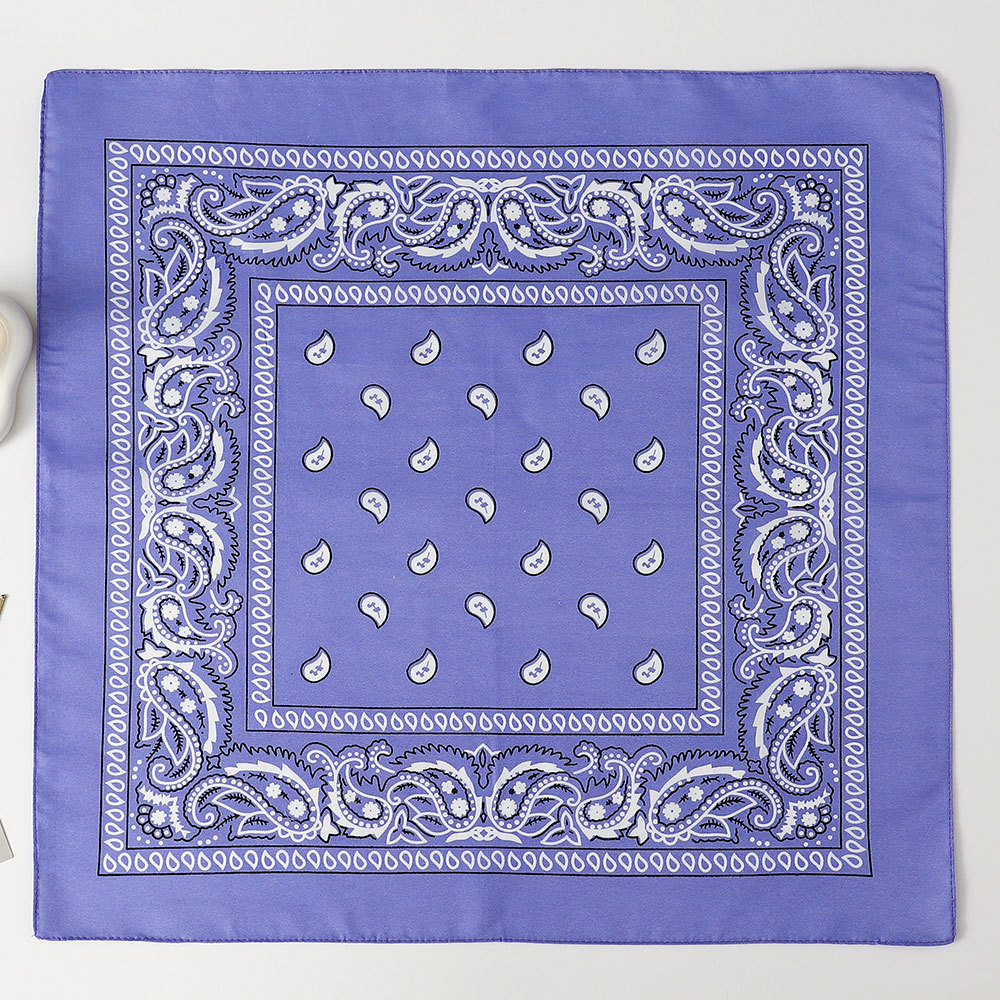 Bandana Cuadrada de Estampado Paisley 53cm de Poliéster para Deportes y Hip Hop