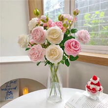 ������ĵ����3�^õ��ٻ������Ӽ��b�c�Ƶ겼�Ô[�O���߻���