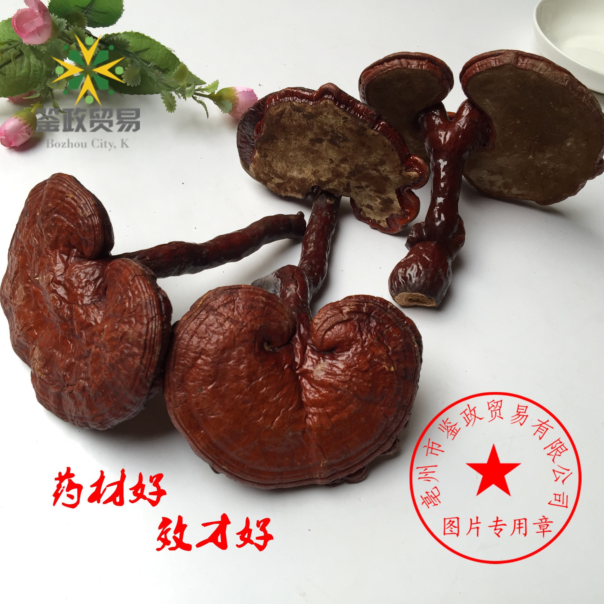 Dried Red Reishi Mushroom Whole Ling Zhi Ganoderma lucidum Traditional Herbal Tea and Decoction Herb 500g specifications