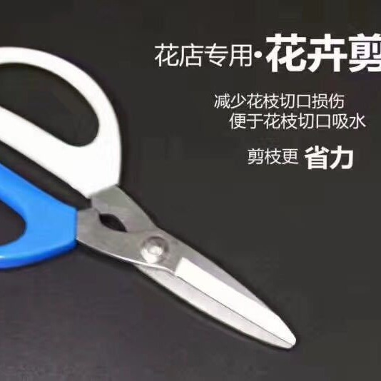 蓝白花艺剪修花剪鲜花插花剪家用剪花草花枝花店专用工具插花剪刀
