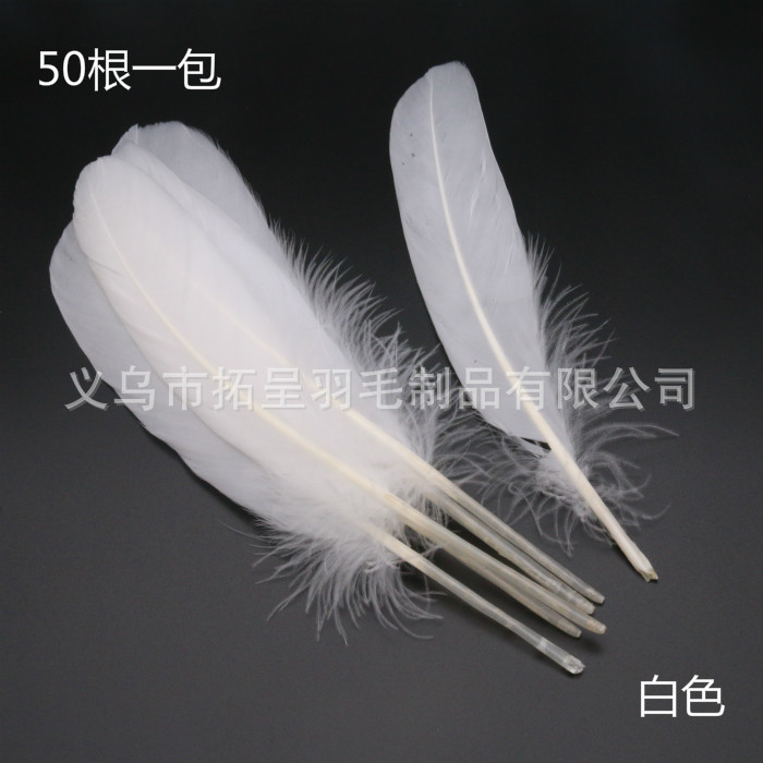56호 화이트 네스트 칼라 약 17cm 50개
