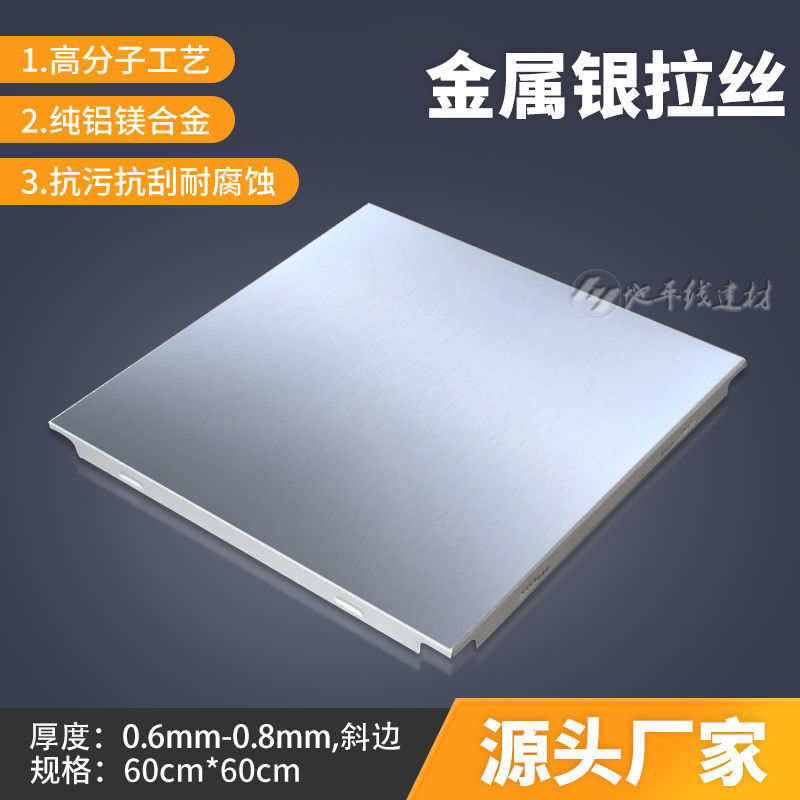 금속 실버 브러시