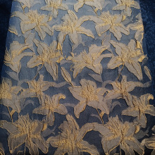 ½zcU LֲﻨɫỨ  SF