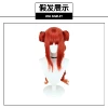 Genshin Impact - Nerusabon's Breath Wig