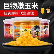 �����LVB������she��������250ml Ұ��a�����c���h���� һ��72ƿ