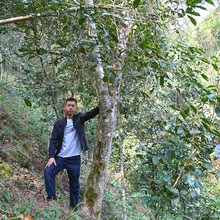 ��֮��2024�괺��������ɽ�ߗU����Ʒ�|�ȼ����һ���ߗU1kgɢ