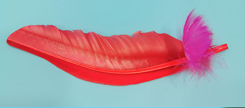 新款组装毽子_10