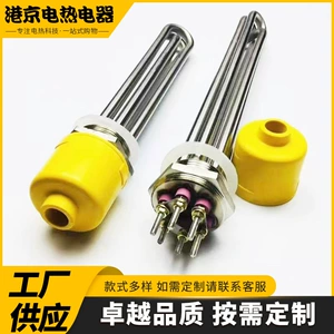 [水箱不锈钢电热管定制不锈钢浸入式法兰加热管厂家多尺寸加热器]