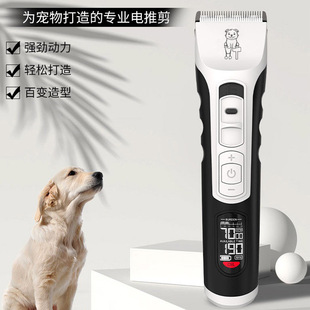 �Q���I��Ƽ�����������ë��؈��̩�Ͻ�ë��Ƽ�