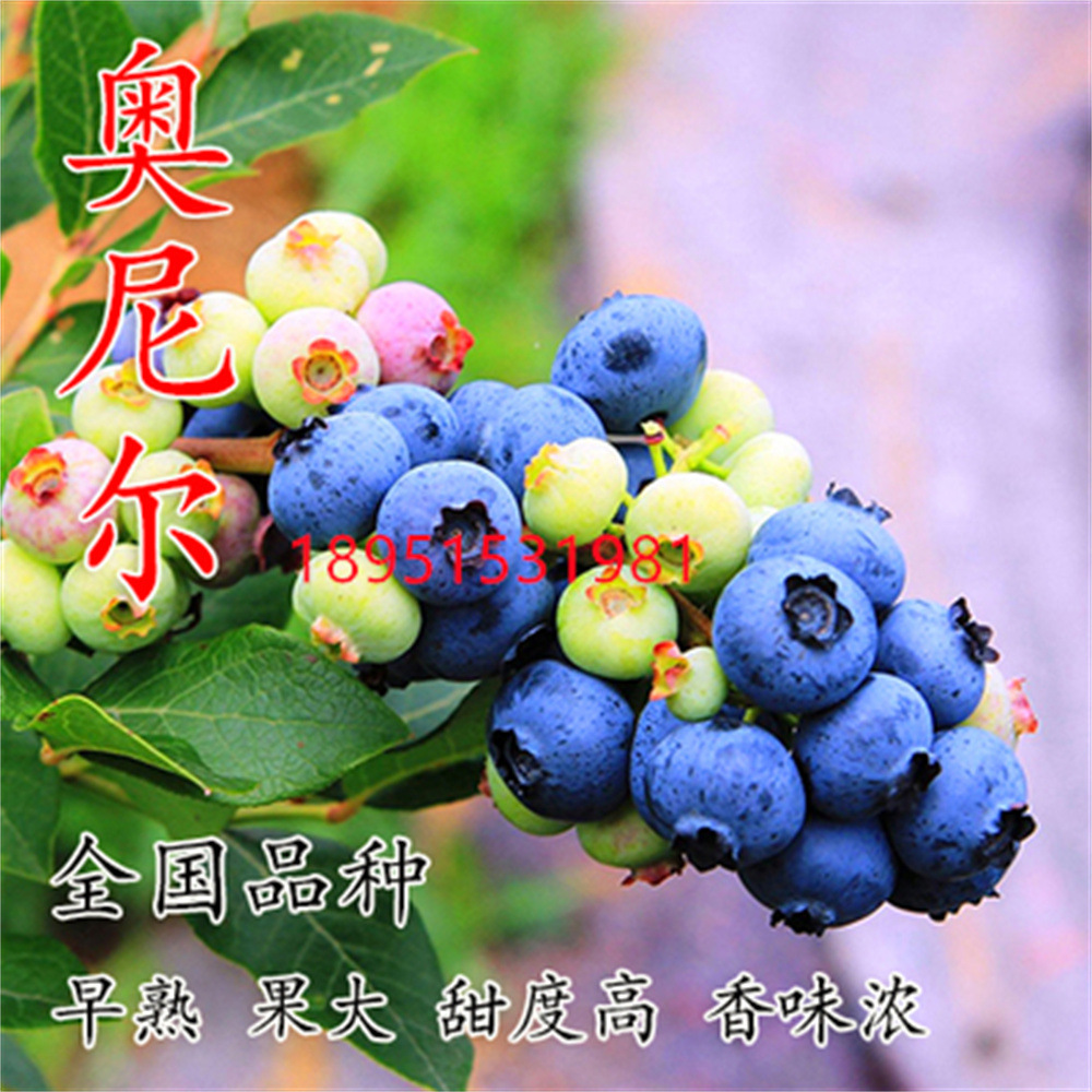 O1CN019SL1fX2HOdCA6f4k4_!!7814