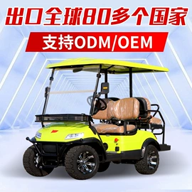 电动观光车;高尔夫球车;其他电动车
