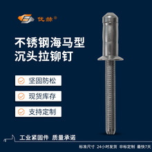 304不锈钢沉头海马钉高强度拉钉304不锈钢拉钉结构型沉头抽芯铆钉