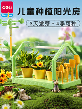 儿童种植小盆栽观察套装种子蔬菜水果菜园种花绿植温室植物园