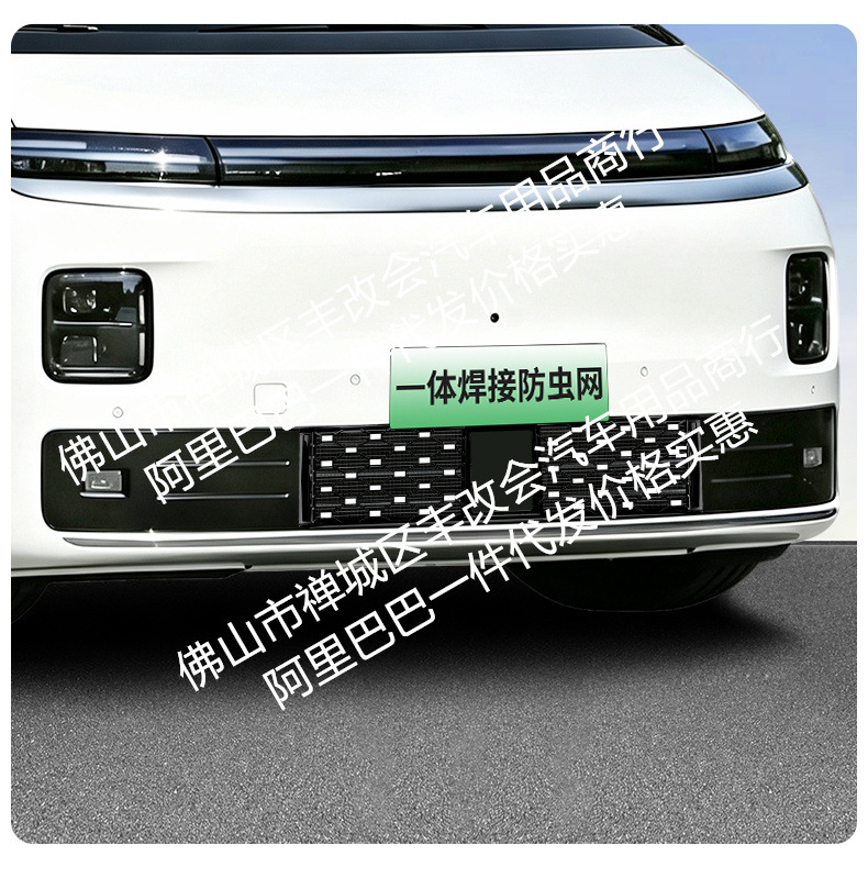Suitable for Leapmotor D99 pure electric version/rechargeable version, integrated welded car insect-proof mesh, special accessory for the front grille