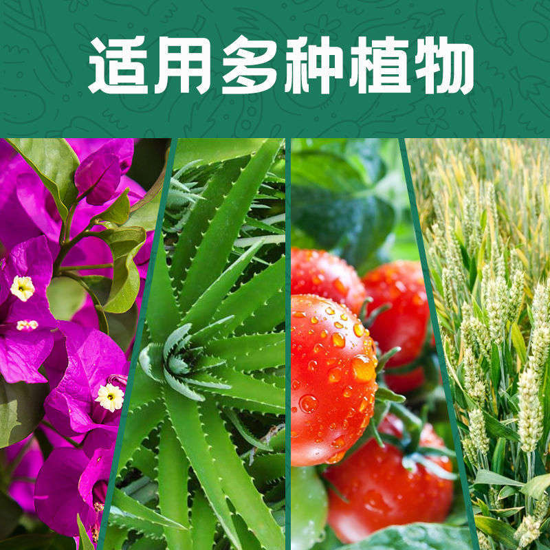 Soil activation Bao activator mineral source fulvic acid potassium loose soil prevent compaction and promote rooting plant flower fertilizer
