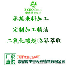 ������̼���R����ȡɽ�軨�����S�ξ���܇ǰ���͗d�ӻ�����