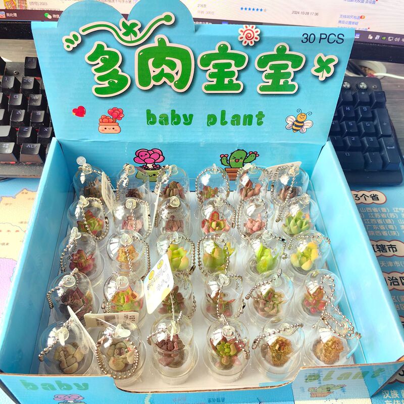 Mini succulent plant pendant creative small potted miniature landscape pendant student small gift glass bottle keychain