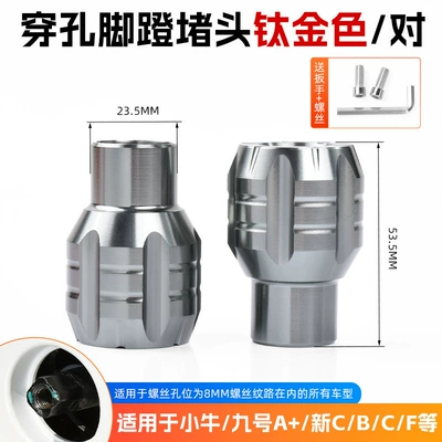 Shaft Plug Foot Pedal – Other Electric Vehicle Accessories - perforated-plug-titanium-gray1-pair